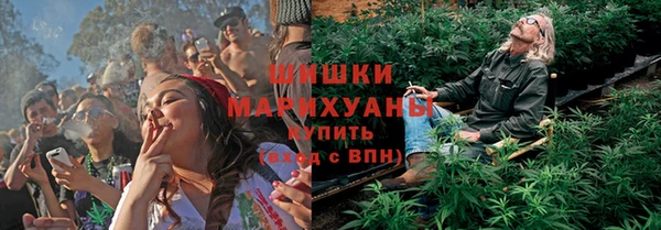 сатива Балахна