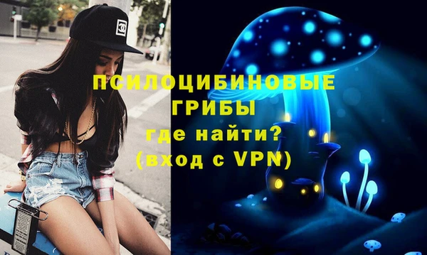 сатива Балахна