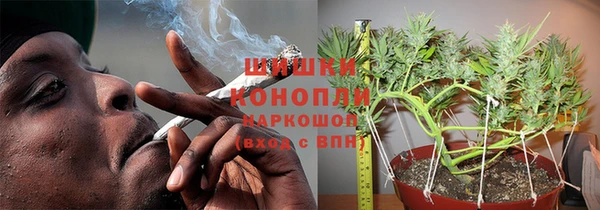 сатива Балахна