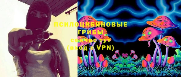 сатива Балахна