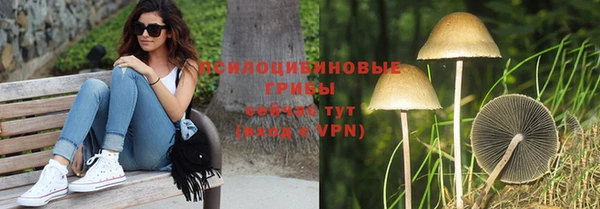 сатива Балахна
