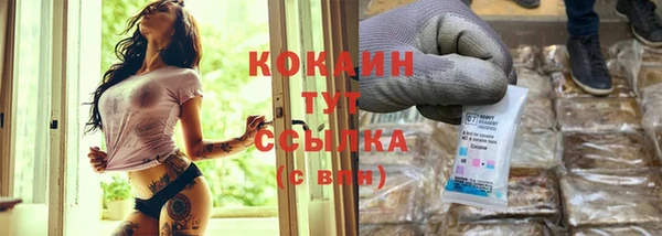 сатива Балахна