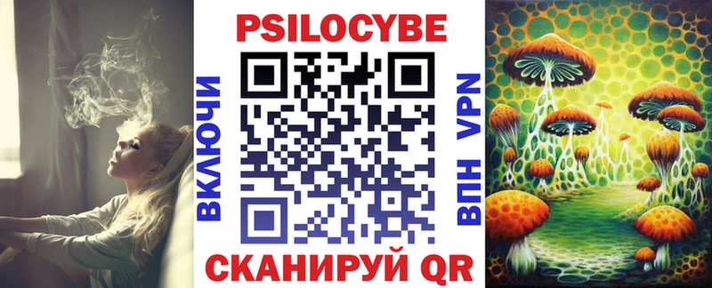 Псилоцибиновые грибы Psilocybine cubensis  Афипский 